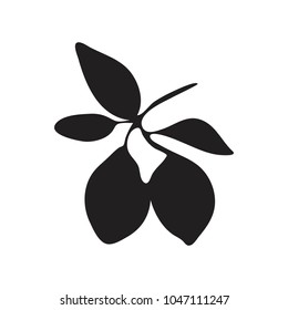 Isolated lemons on a branch. Icon of fruit. Black silhouette. Vector illustration.
