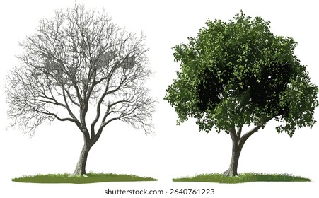 Isolated life green trees cutout, tree set, nature illustration, green environment, tree vector, eco friendly designs, landscape artwork, nature symbols, sustainable living