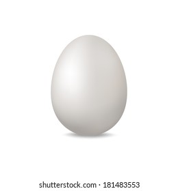 Isolated light egg with a shadow on a white background. Mesh gradient is used.