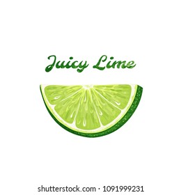 an isolated lime slice; vector illustration with sample text; logo/icon/label template or design element; fresh, vibrant, juicy, organic, trendy