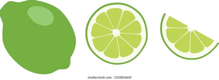 Isolated Lime vector clipart illustration green