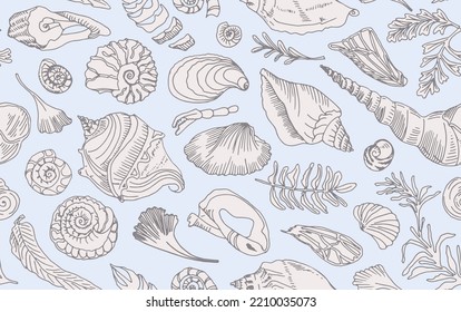 Marcas y plantas aisladas de línea de contorno de arte Patrón sin marea Dibujo de la mano concha oceánica o concha molusco vieira Mar subacuático animal fósil Náutico y acuario, tema marino. Ilustración vectorial.