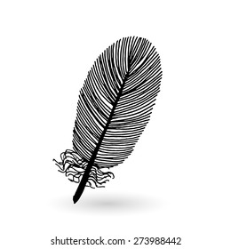 Isolated line art feather. Vector EPS 10