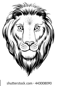 Isolated lions head, vector illustration. Linear art.