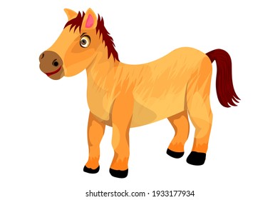 isolated little horse on white background vector design