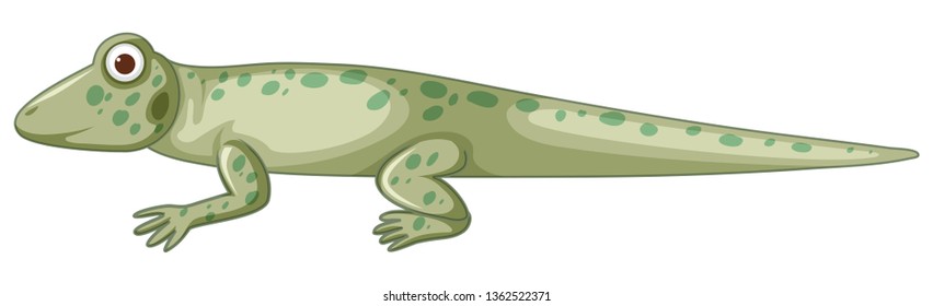 Isolated lizzard on white background illustration