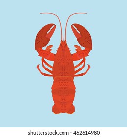 Isolated lobster on blue background, Vector illustration