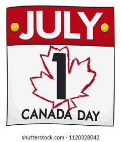 Isolated loose-leaf calendar with a maple outline in brushstroke style commemorating the 1st of July: the Canada Day celebration.