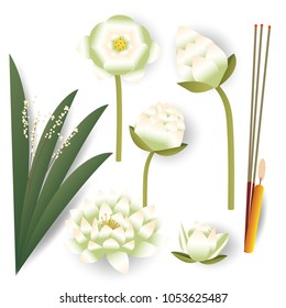 isolated lotus flower, Incense and candle on white background, for Buddhist ceremony, plants and nature vector illustration