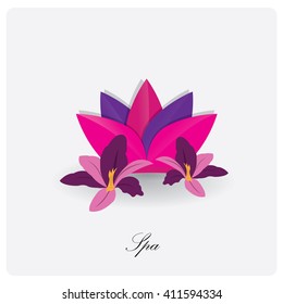 Isolated lotus flower and a pair of different flowers on a white background