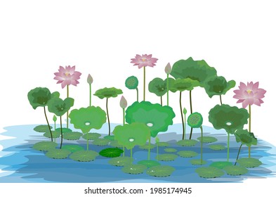 flor de loto aislada en diseño vectorial de estanque