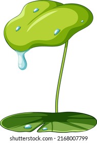 Isolated lotus leaf on white background illustration