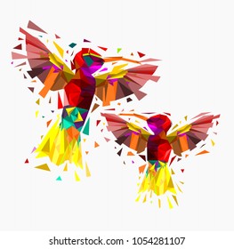 Isolated Low poly colorful couple hummingbird with white back ground,animal geometric,vector.