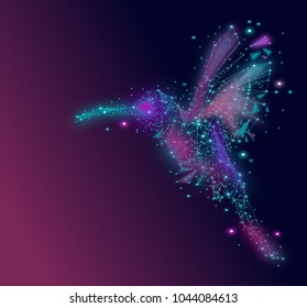 Isolated Low poly colorful Hummingbird ,animal geometric,vector