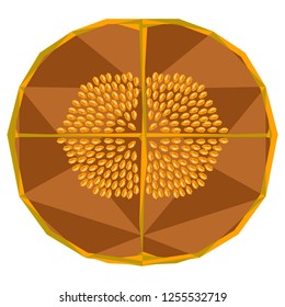 Isolated low poly lulo cut. Vector illustration design