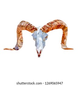 Isolated Low poly ram skull on white back ground, animal geometric concept, Abstract vector - Vector