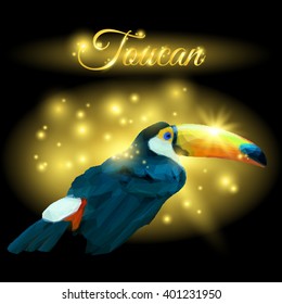 Isolated low poly toucan on sparkling background. Vector llustration for your design, Eps 10.