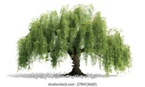 The isolated lowpoly polygonal weeping willow drooping green park tree vector illustration with white background for nature plant landscape.