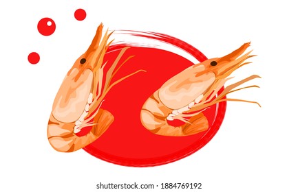 Isolated macro prawn on white background. Close up vector illustration.