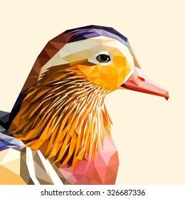Isolated mandarin duck portrait. Vector illustration