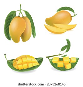 Colección aislada de mango. Frutas tailandesas de mango amarillo de diferentes formas, piezas y hojas aisladas en fondo blanco