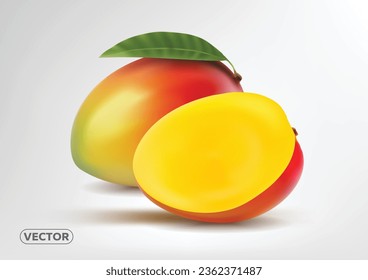 Mango aislado. Mango orgánico fresco y rodaja con hojas aisladas. EPS vectoriales