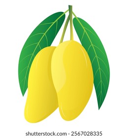 isolated mango on white background vector design