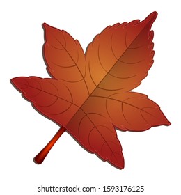 Isolated maple leaf image. Autumn leaf - Vector