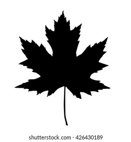 isolated maple leaf silhouette on white background