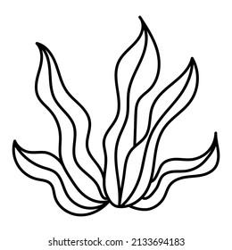 Isolated marine coral. Black contour line in doodle style