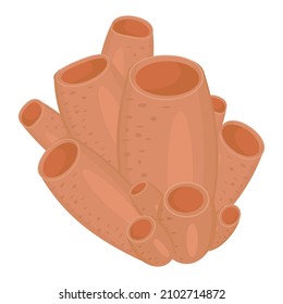 Isolated marine coral. Color Vector isolated illustration, black icon on a white background