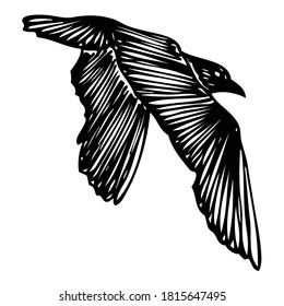 Silhouette de forma marina aislada de pájaro de gaviota volando en el aire Inspiración de la tinta de tatuaje de la carne del cuerpo para marinero Vector.