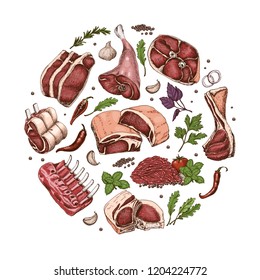 Isolated meat circle with different color meats in sketch style. Vector illustration for your design
