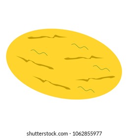 Isolated melon cartoon style at the white background