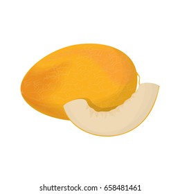 Isolated melon fruit.
