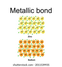 Isolated metallic bond on white background.Chemical bonding model.education,science.