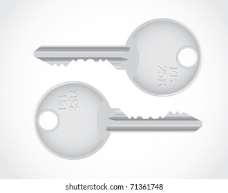 isolated metallic keys - detailed realistic illustration