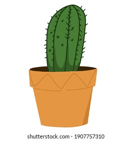  isolated mexican cactus in color - vector illustration