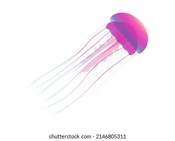 Isolated Model Of Jellyfish. Beautiful Illustration Of Wild Life. Sealife Background.