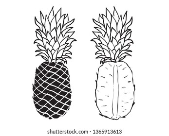 isolated monochrome black and white illustration childish hand drawn lines art pineapple whole fruit and half cut fruit for pattern, background, wallpaper, cover, texture etc. vector design