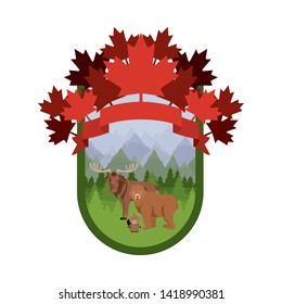 Isolated moose beaver and bear animal design