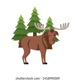 Isolated moose forest animal design