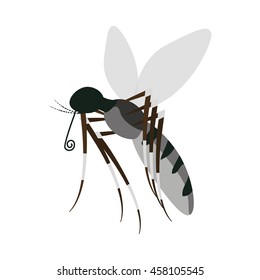 Isolated mosquito on white background, Vector illustration