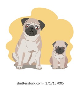 Isolated mother and puppy pugs in vector format. Big and small dog on a yellow background.