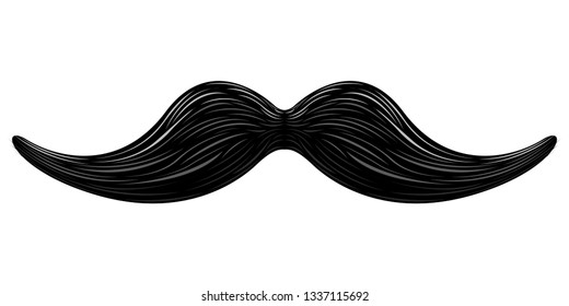 Isolated moustache icon image. Vector illustration design