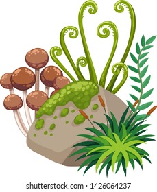 Isolated mushroom on white background illustration
