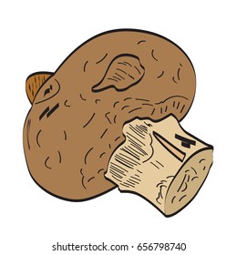 Isolated mushroom on a white background, Vector illustration