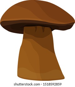 Isolated mushroom vector illustration on white background