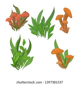 isolated mushrooms and grass, vector. decorative elements
