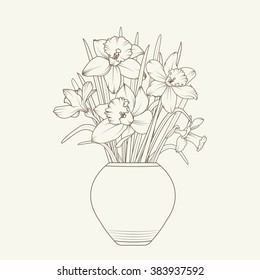 Isolated narcissus daffodil spring flowers in the pot. Brown outline on beige yellow background.